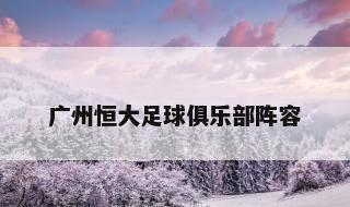 广州恒大足球俱乐部阵容 2013广州恒大夺冠之路