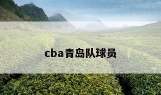 cba青岛队球员 cba官方订票app